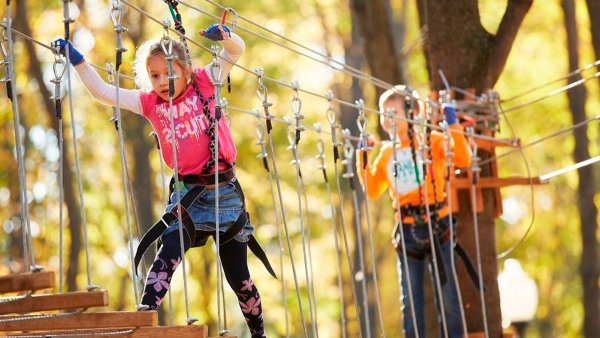 Веревочный парк Конаково аэродром
