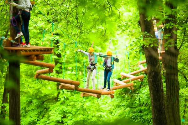 Веревочный парк "ПАНДАПАРК" Фили