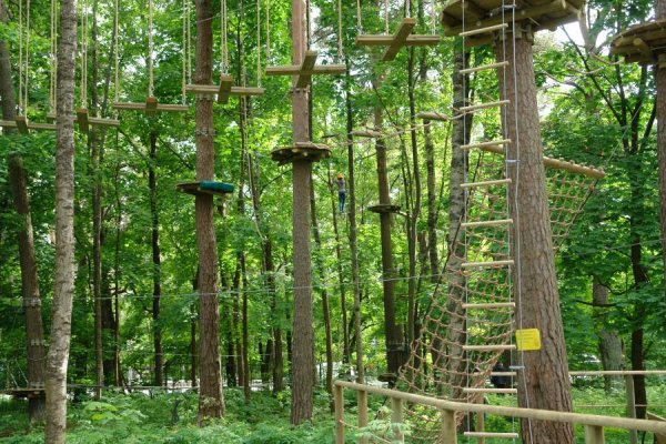 Веревочный городок Зеленогорск