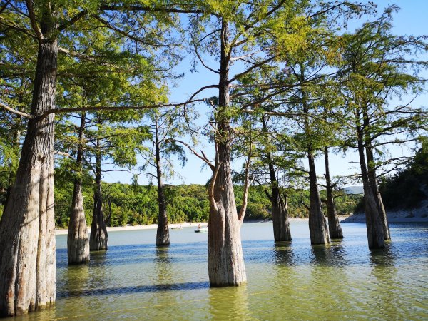 Кипарисовое озеро в Анапе