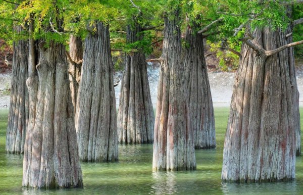 Озеро Сукко в Анапе