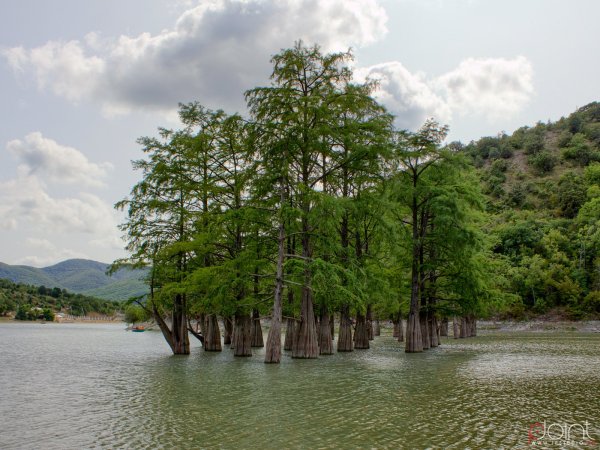 Кипарисовое озеро Сукко