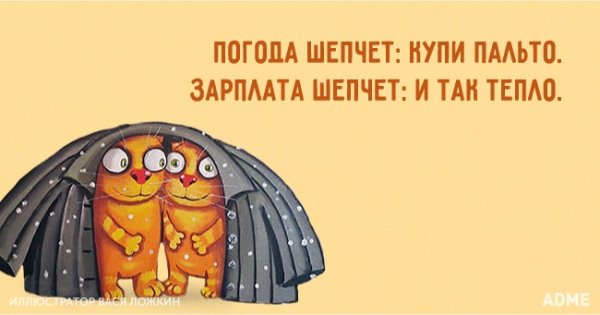 Приколы про холодную осень