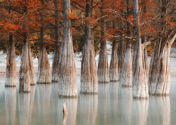 Кипарисовое озеро Краснодарский край