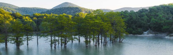 Сукко озеро с кипарисами 2021