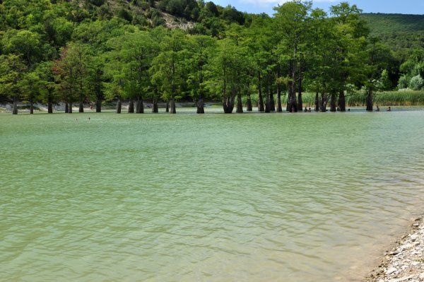 Сукко озеро с кипарисами