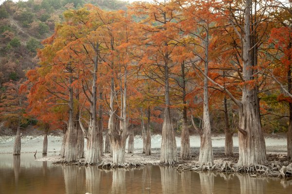 Кипарисовое озеро Сукко