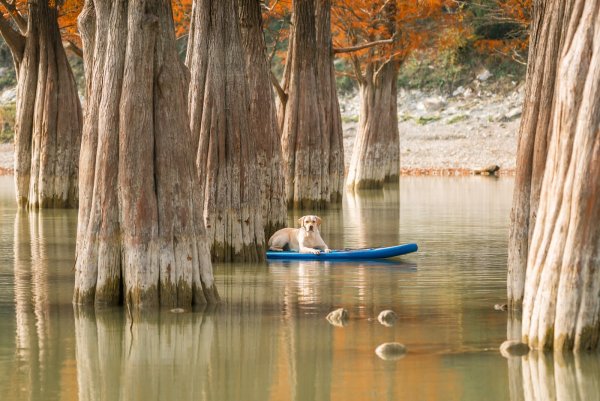 Сукко Анапа Кипарисовое озеро