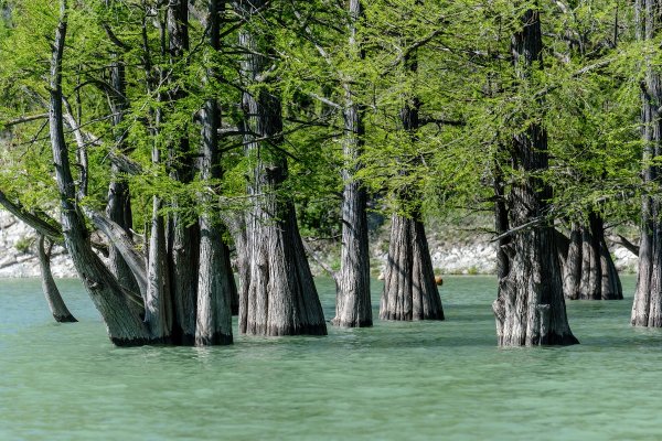 Сукко (водохранилище)