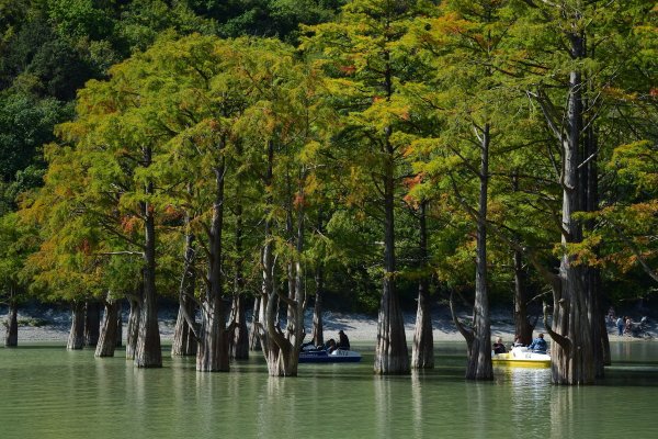 Кипарисовое озеро Сукко