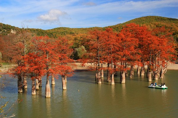 Сукко озеро с кипарисами 2021