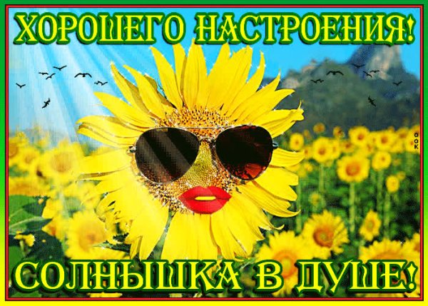 Солнышка в душе