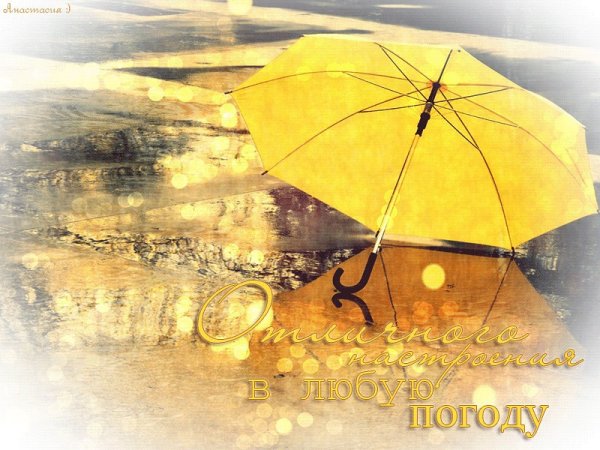 Отличного настроения в дождливую погоду