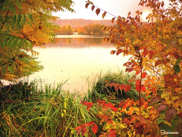Озеро Светлояр осенью