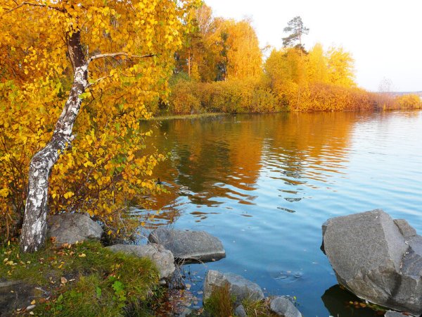 Золотая осень озеро
