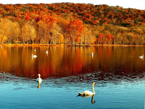 Осеннее озеро