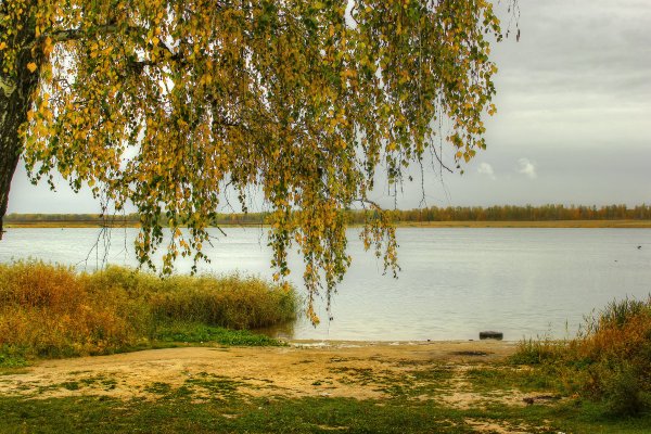 Волга река Березка