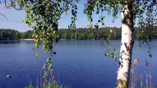 Река Березка Ивановская область