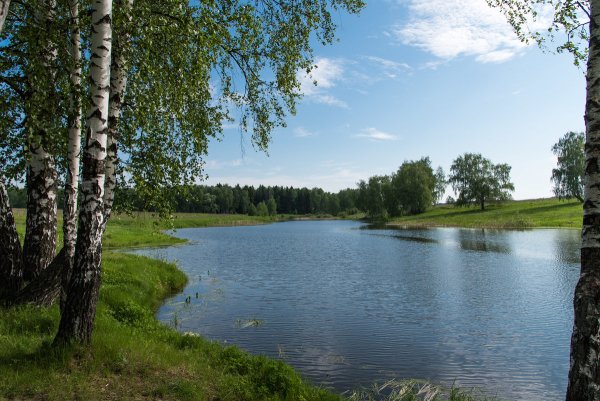 Озеро Березка Тула