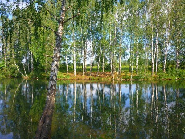 Озеро Березовое Березово