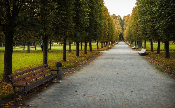 Липовая аллея Архангельское