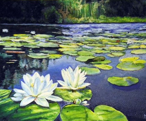 Озеро с кувшинками для детей