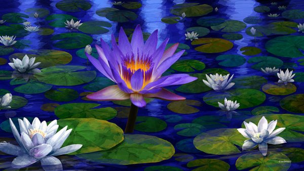 Кувшинки арт