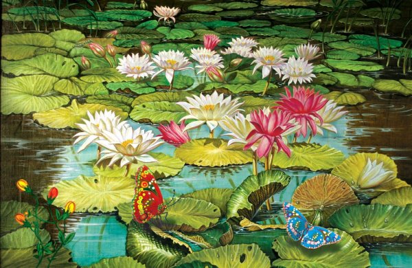 Сказочные кувшинки