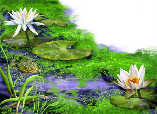 Елена Доведова художник картины