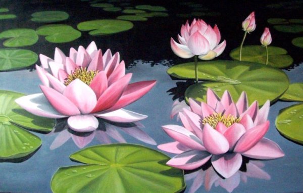 Рисование кувшинка