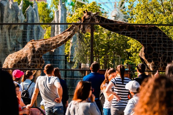 Солнечный остров Краснодар сафари парк