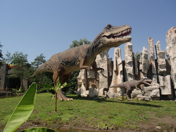 Зоопарк сафари парк Краснодар