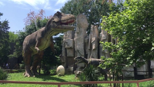 Солнечный остров Краснодар сафари парк