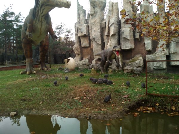 Парк сафари парк Краснодар