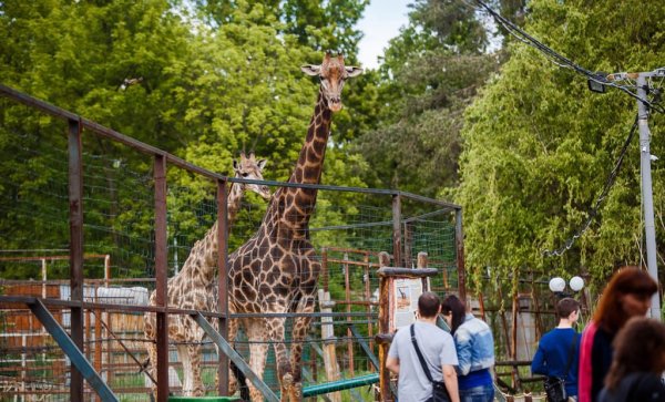 Солнечный остров Краснодар сафари парк