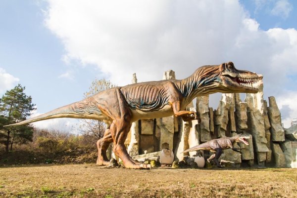 Парк сафари парк Краснодар