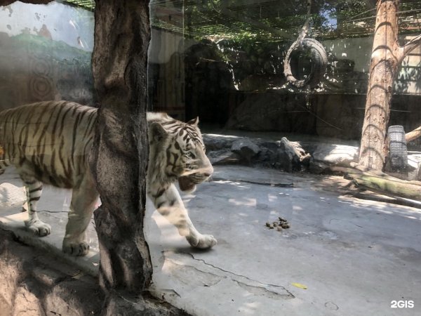 Солнечный остров Краснодар сафари парк