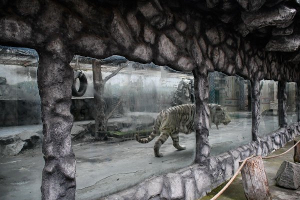 Сафари парк Краснодар экзотариум