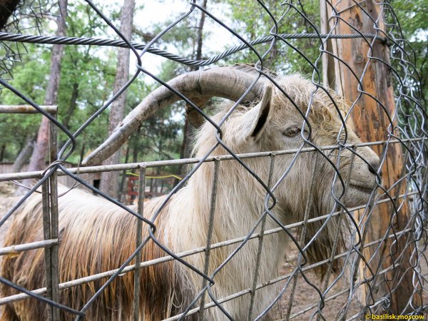 Сафари парк Краснодар план
