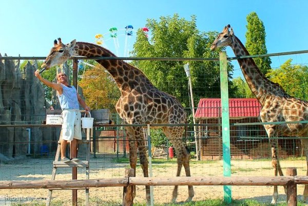 Солнечный остров Краснодар сафари парк