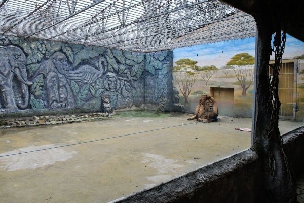 Сафари парк Краснодар экзотариум