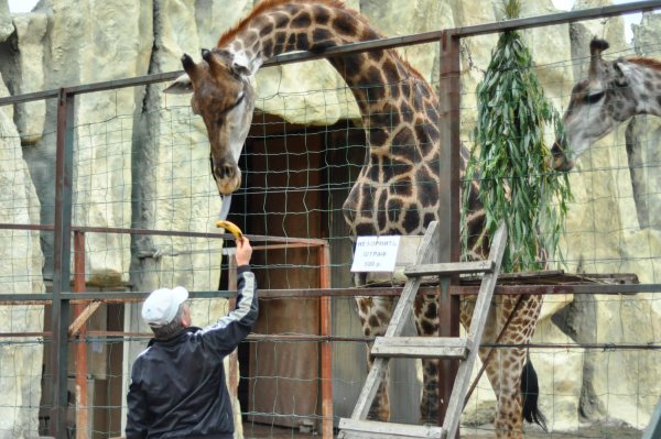 Парк Солнечный остров Краснодар зоопарк