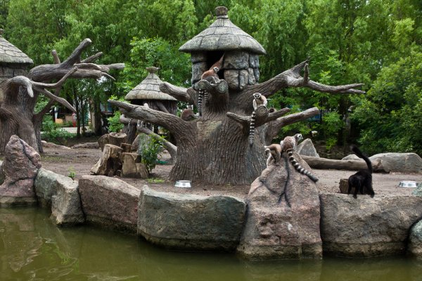 Солнечный остров Краснодар зоопарк