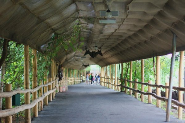 Сафари парк Краснодар