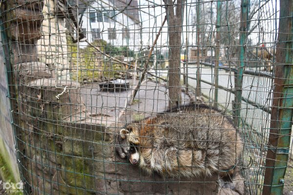 Сафари парк Краснодар экзотеррариум