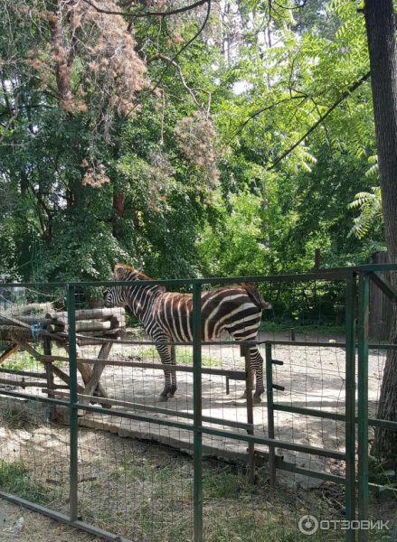 Парк Солнечный остров сафари парк