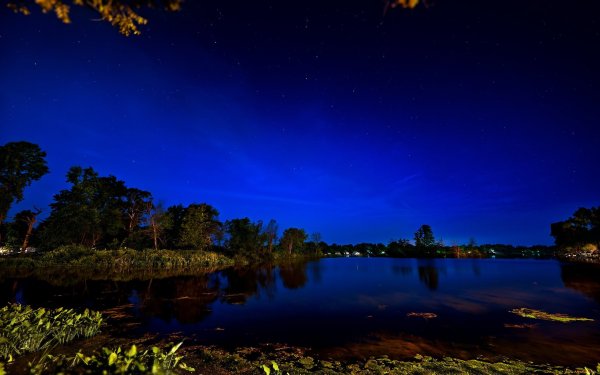 Ночная природа