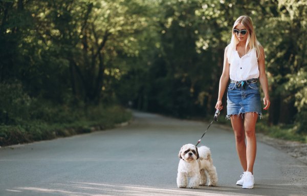 Девушка на прогулке