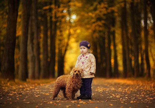 Прогулка с собакой в лесу