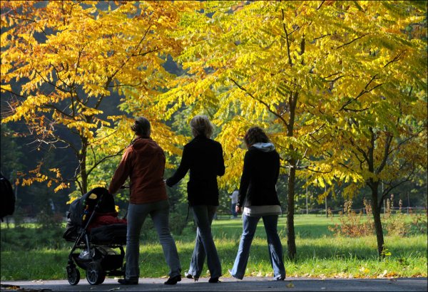 Люди гуляют в парке осенью